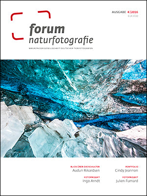 forum naturfotografie 4/2016